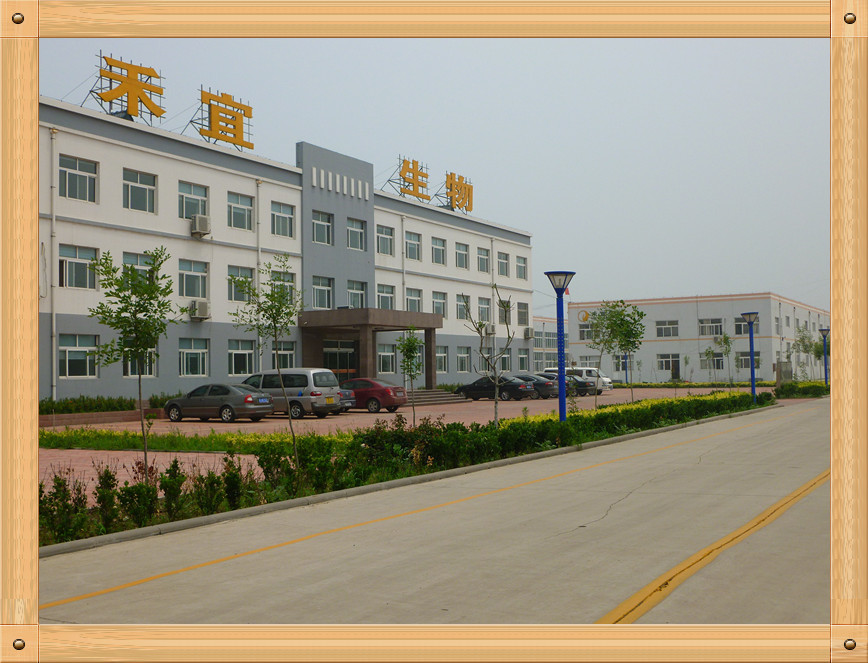 Çin Weifang Heyi Agrochemical Co.,Ltd şirket Profili
