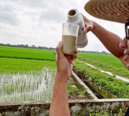 Validamycin A% 20 SP Pirinç Blast Kontrolü Tarımsal Mantar ilacı